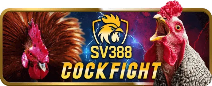 Nổ hũ 96vn nhà cái